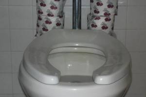 Plumbing Toilet Flush Valve Repair - Plumbing