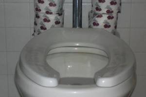 Plumbing Toilet Flush Valve Repair - Plumbing