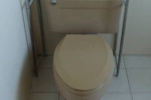 Plumbing Toilet Home New Replace - Plumbing