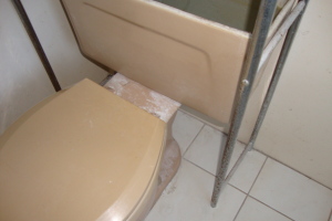 Plumbing Toilet Home New Replace - Plumbing