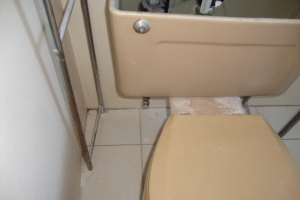 Plumbing Toilet Home New Replace - Plumbing