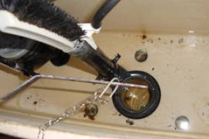 Plumbing Toilet Home New Replace - Plumbing