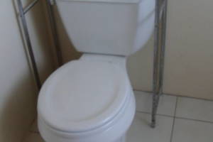 Plumbing Toilet Home New Replace - Plumbing