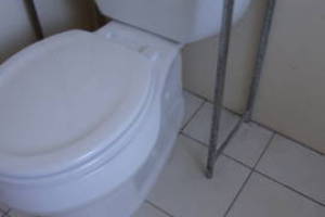 Plumbing Toilet Home New Replace - Plumbing