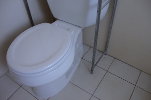 Plumbing Toilet Home New Replace - Plumbing