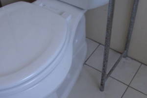 Plumbing Toilet Home New Replace - Plumbing