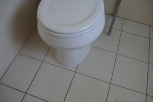 Plumbing Toilet Home New Replace - Plumbing