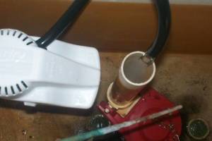 Plumbing Toilet Leak Repair - Plumbing