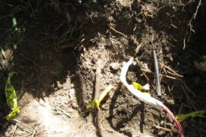 Plumbing Toilet Main Sewer Line Repair - Plumbing