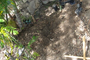 Plumbing Toilet Main Sewer Line Repair - Plumbing