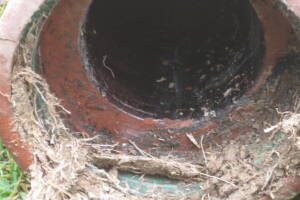 Plumbing Toilet Main Sewer Line Repair - Plumbing