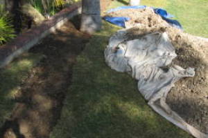 Plumbing Toilet Main Sewer Line Repair - Plumbing