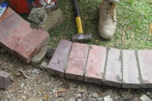 Plumbing Toilet Main Sewer Line Repair - Plumbing