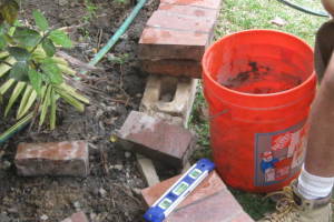 Plumbing Toilet Main Sewer Line Repair - Plumbing
