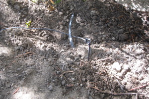 Plumbing Toilet Main Sewer Line Repair - Plumbing