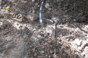 Plumbing Toilet Main Sewer Line Repair - Plumbing
