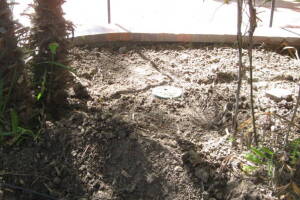 Plumbing Toilet Main Sewer Line Repair - Plumbing