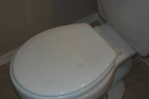 Plumbing Toilet New Replacement - Plumbing