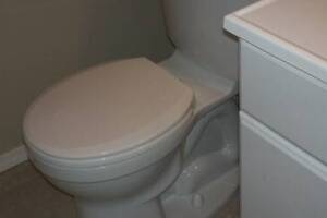 Plumbing Toilet New Replacement - Plumbing