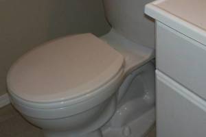 Plumbing Toilet New Replacement - Plumbing