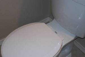 Plumbing Toilet New Replacement - Plumbing