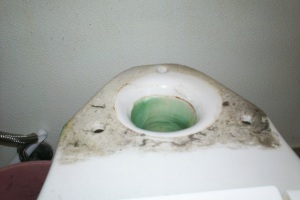 Plumbing Toilet Pressure Assist Replace - Plumbing