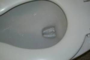 Plumbing Toilet Pressure Assist Replace - Plumbing