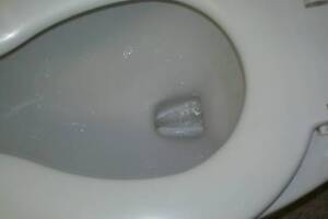 Plumbing Toilet Pressure Assist Replace - Plumbing