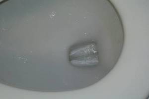 Plumbing Toilet Pressure Assist Replace - Plumbing