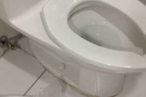 Plumbing Toilet Replace Chain - Plumbing