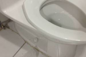 Plumbing Toilet Replace Chain - Plumbing
