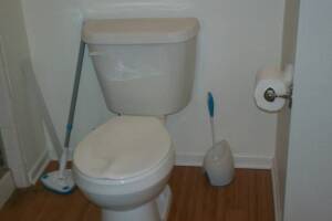 Plumbing Toilet Replacement Bathroom - Plumbing
