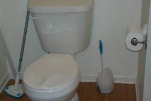 Plumbing Toilet Replacement Bathroom - Plumbing