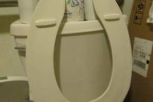 Plumbing Toilet Seat Lift Install - Plumbing