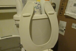 Plumbing Toilet Seat Lift Install - Plumbing