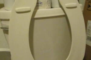 Plumbing Toilet Seat Lift Install - Plumbing