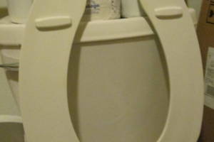 Plumbing Toilet Seat Lift Install - Plumbing
