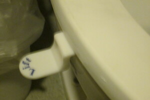 Plumbing Toilet Seat Lift Install - Plumbing