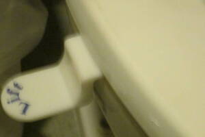 Plumbing Toilet Seat Lift Install - Plumbing