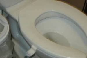 Plumbing Toilet Seat Lift Install - Plumbing