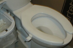 Plumbing Toilet Seat Lift Install - Plumbing