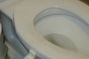 Plumbing Toilet Seat Lift Install - Plumbing