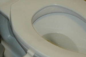 Plumbing Toilet Seat Lift Install - Plumbing