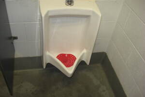 Plumbing Urinal Clog Cleared Commercial - Plumbing