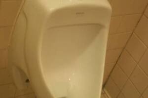 Plumbing Urinal Emergency Repair - Plumbing