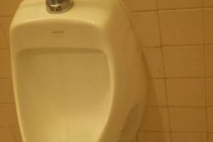 Plumbing Urinal Emergency Repair - Plumbing