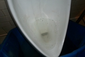 Plumbing Urinal Flush Valve Rebuild - Plumbing