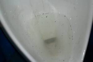 Plumbing Urinal Flush Valve Rebuild - Plumbing