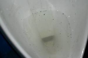 Plumbing Urinal Flush Valve Rebuild - Plumbing