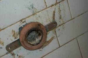 Plumbing Urinal Flush Valve Rebuild - Plumbing